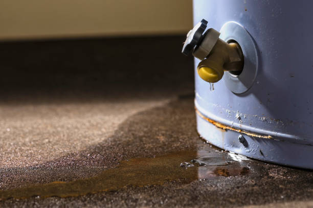 Reliable MS Water damage restoration Solutions