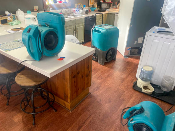 Carpet water damage restoration in MS