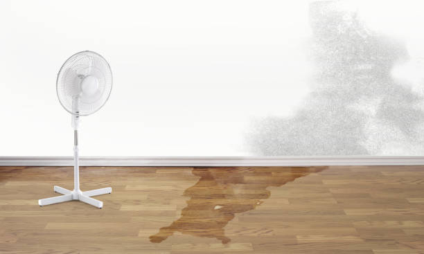 Best Commercial water damage restoration  in Kosciusko, MS