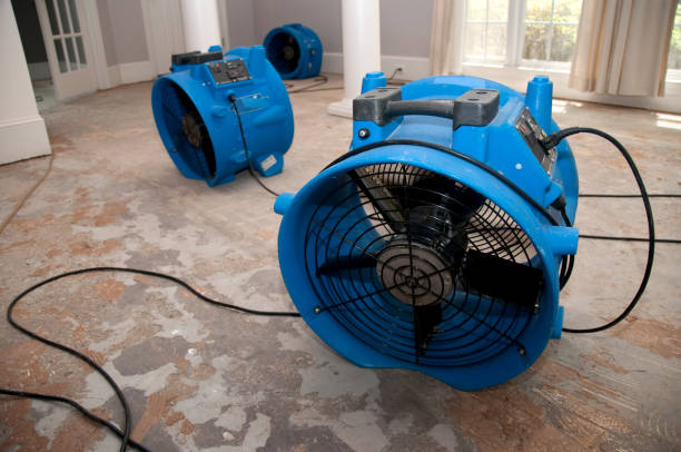 Best Carpet water damage restoration  in Kosciusko, MS