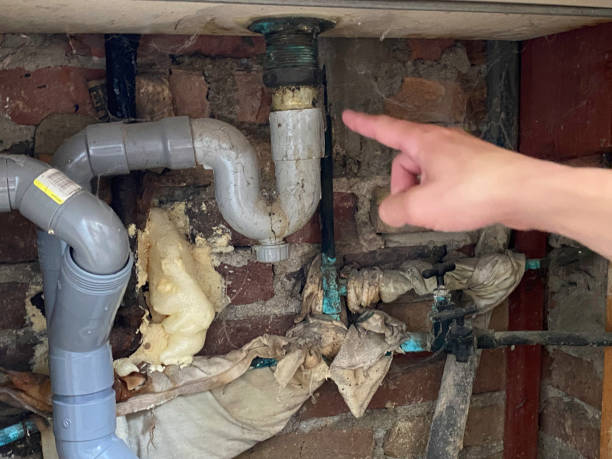Best Water damage mitigation services  in Kosciusko, MS