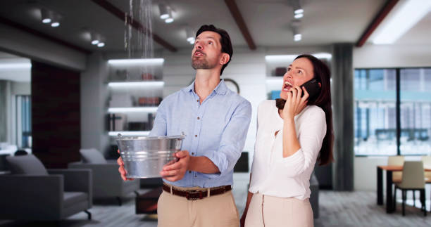 Best Basement water damage restoration  in Kosciusko, MS