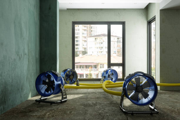 Best Local water damage restoration  in Kosciusko, MS