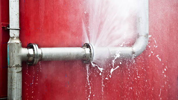 Best 24/7 water damage repair  in Kosciusko, MS
