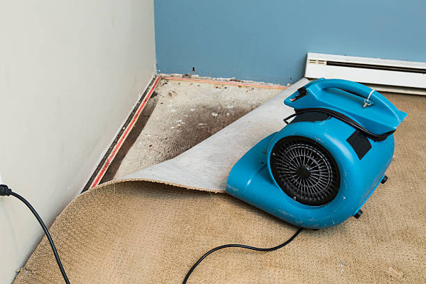 Best Local water damage restoration  in Kosciusko, MS